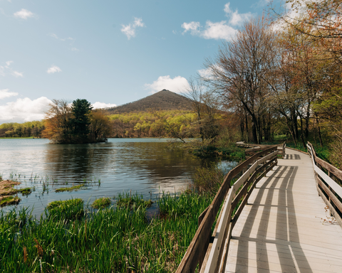 Johnson Trail and Abbott Lake Loop