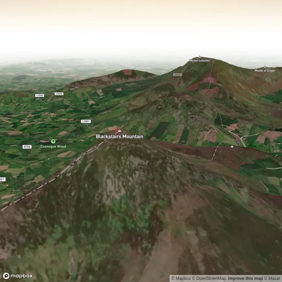 An image depicting the trail Blackstairs Ramble and its surrounding area.