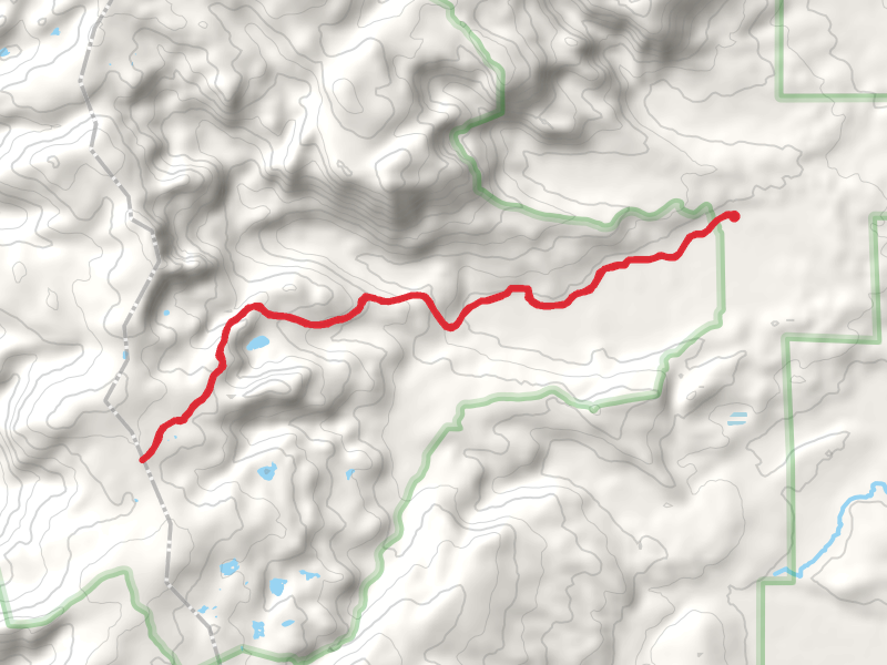 Newcomb Creek Trail