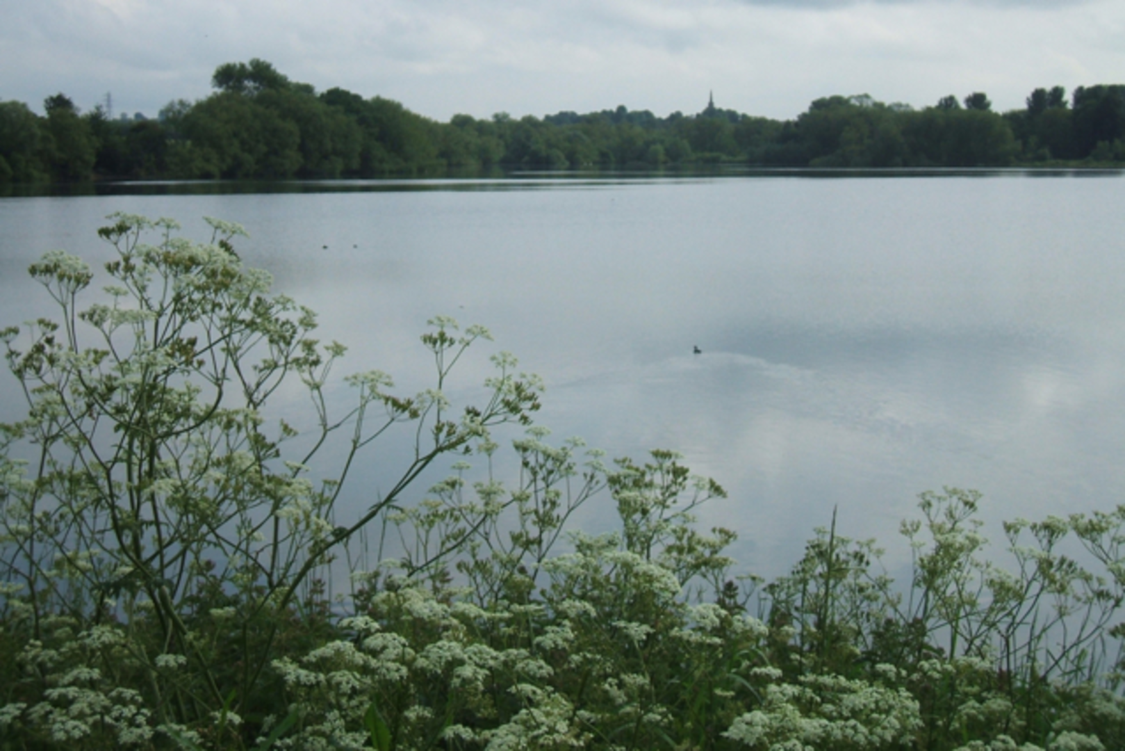 An image depicting the trail Daventry Reservoir Loop and its surrounding area.