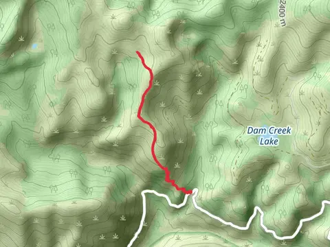 Skalkaho - Little Burnt Fork Trail
