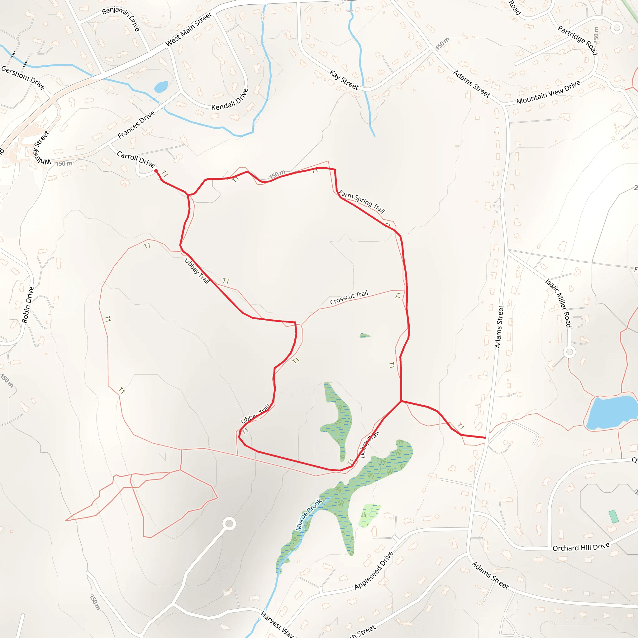 Libbey Loop Trail mobile static map