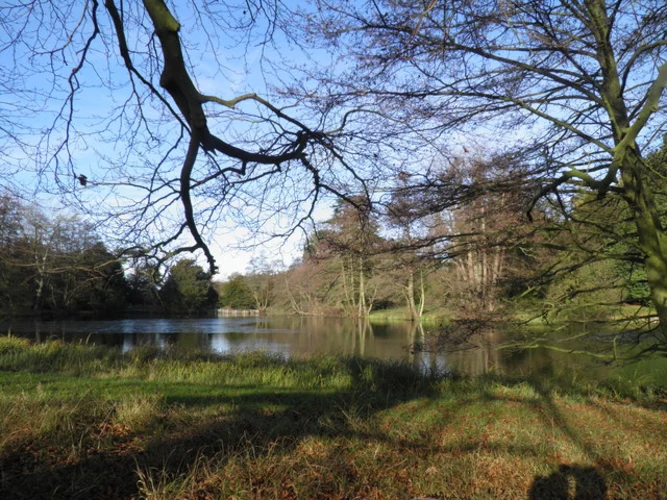 Drakeloe Pond and Woburn Abbey Deer Park Loop