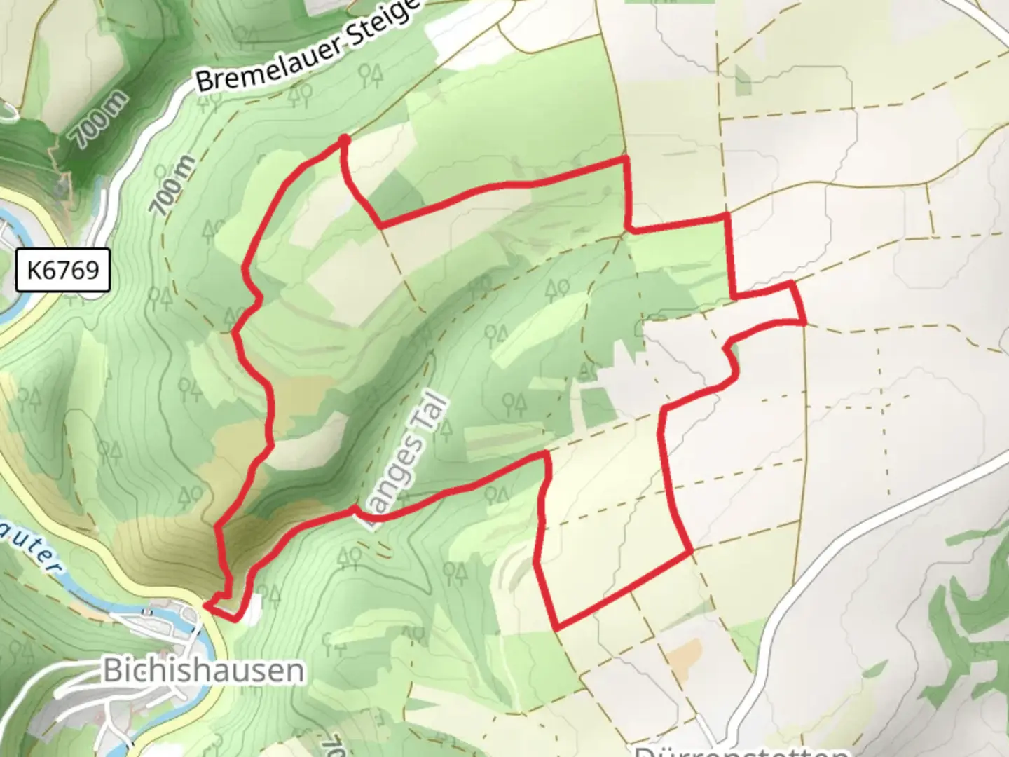 An image depicting the trail Hochgehgrenzt Loop and its surrounding area.