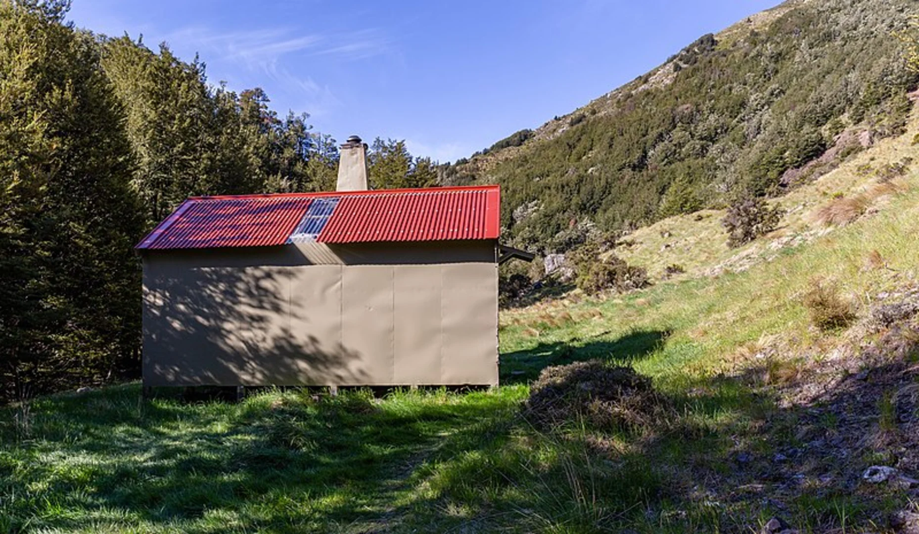 An image depicting the trail Youngman Stream Track and its surrounding area.