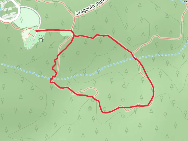 Umbrella Tree Loop Trail