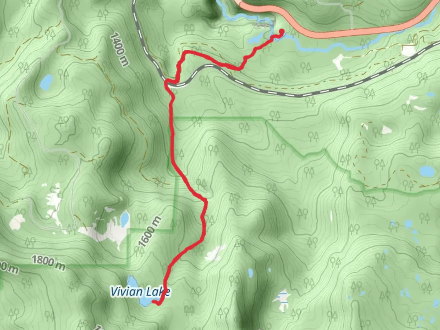 An image depicting the trail Vivian Lake via Salt Creek Falls and its surrounding area.