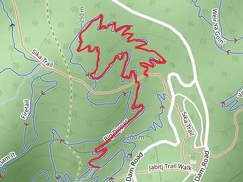 Big Dipper Track