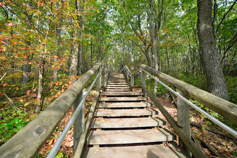 Black Forest Trail