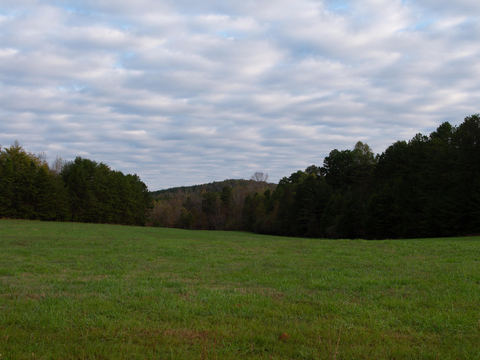 Uwharrie National Recreation Trail