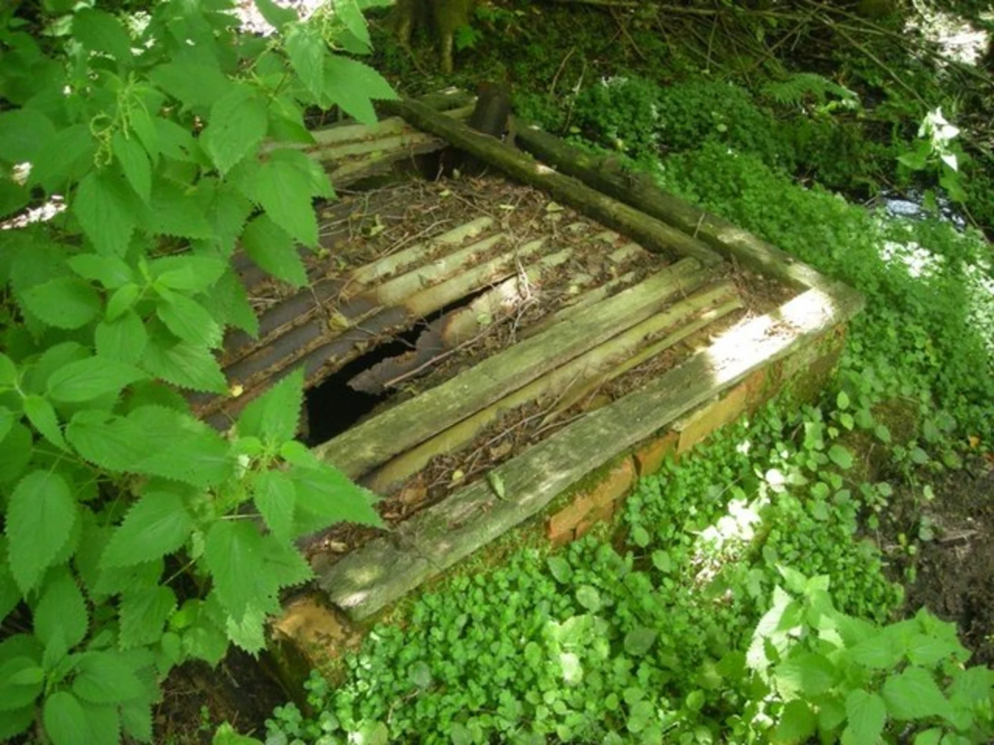 An image depicting the trail Squires Great Wood and Robbing Gate via NT Permissive Bridleway and its surrounding area.