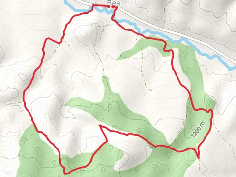 Bea Botanical Route PR TE 79