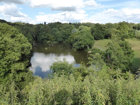 Leasowes Park Loop