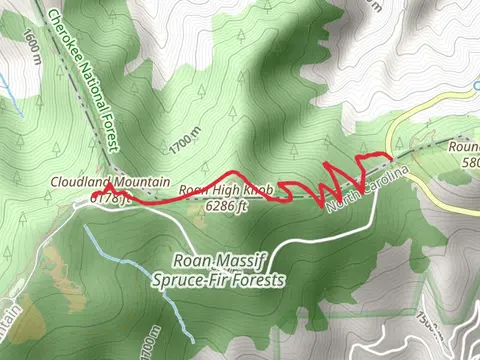 Appalachian Trail from Cloudland Mountain
