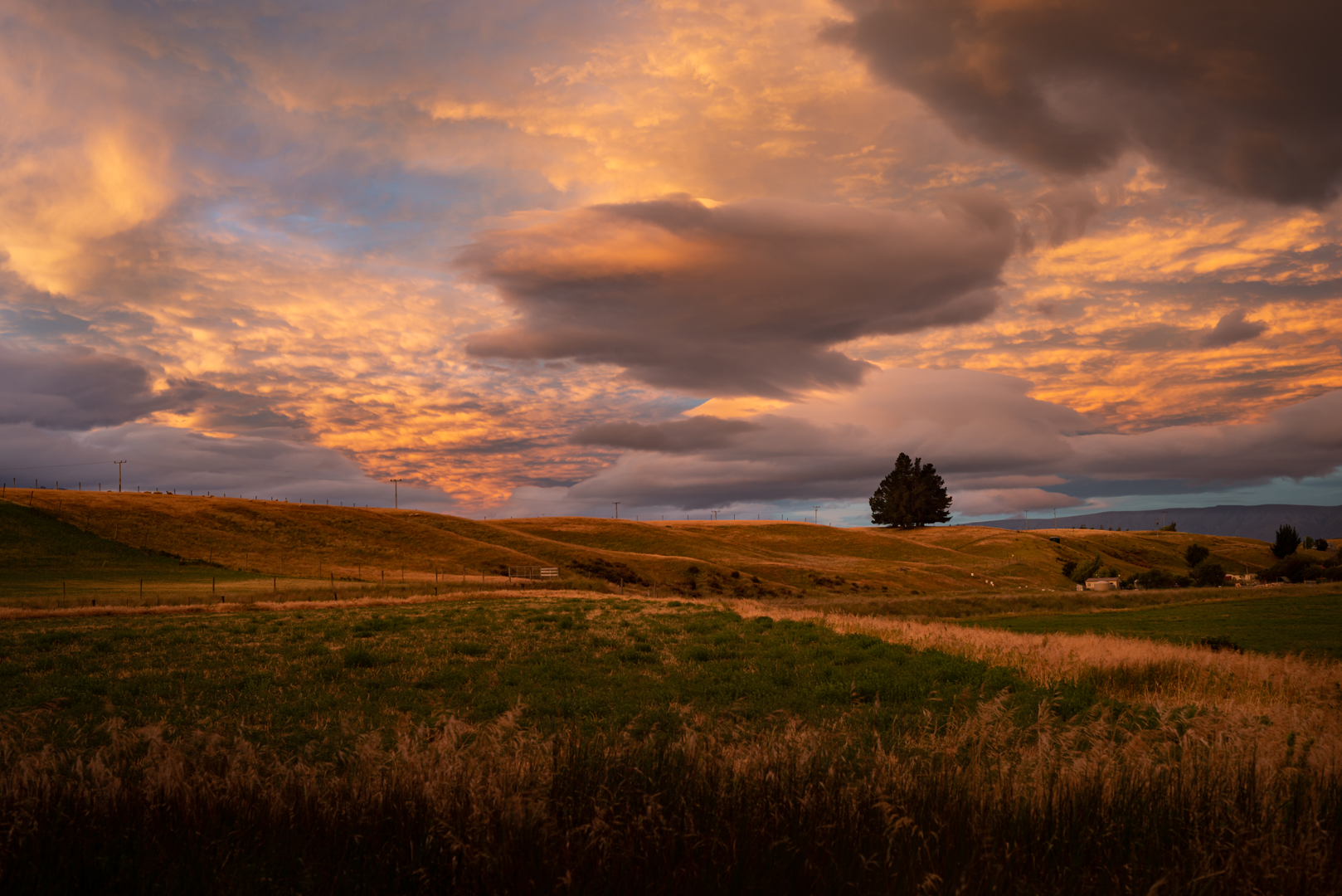 An image depicting the trail Otago Central Rail Trail and its surrounding area.