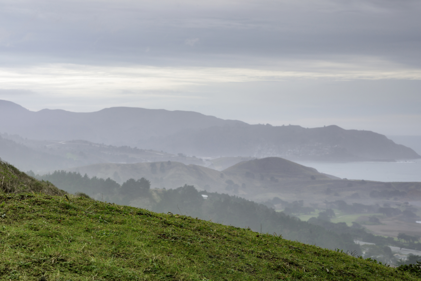 An image depicting the trail Milagra Ridge Trail and its surrounding area.