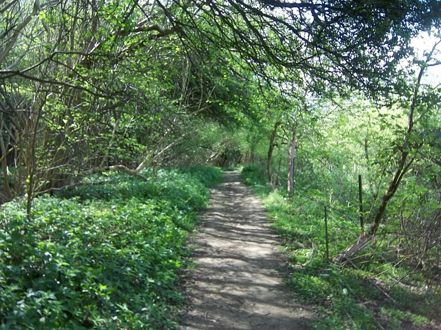 An image depicting the trail Broadway Loop and its surrounding area.