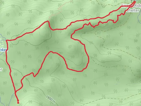 Swede Ridge Loop Trail