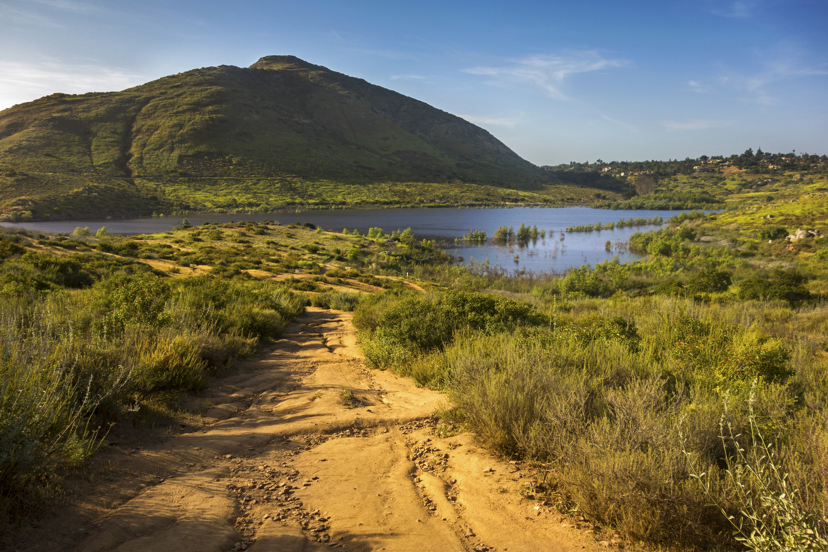 An image depicting the trail Lake Hodges and its surrounding area.