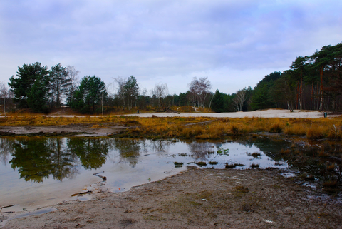 Brunssummerheide, Landgraaf and Groeve Sigrano Loop