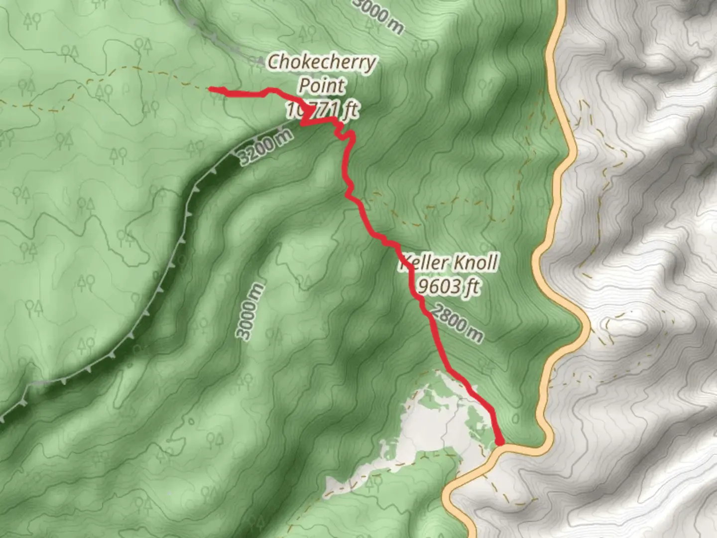 An image depicting the trail Wildcat Trail and Chokecherry Point Walk and its surrounding area.