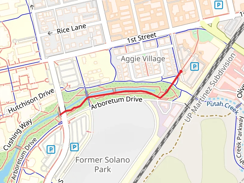 Arboretum Drive