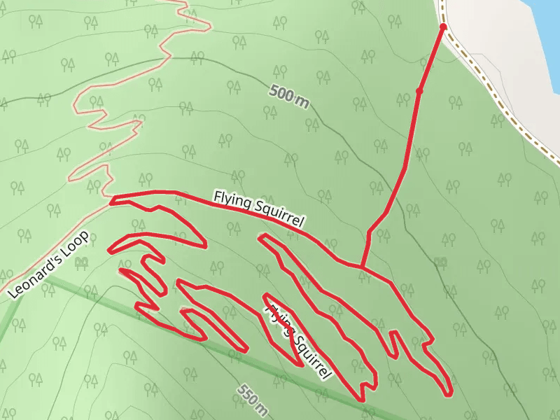 Flying Squirrel Loop Trail