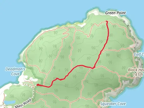 Fern Glen Trail