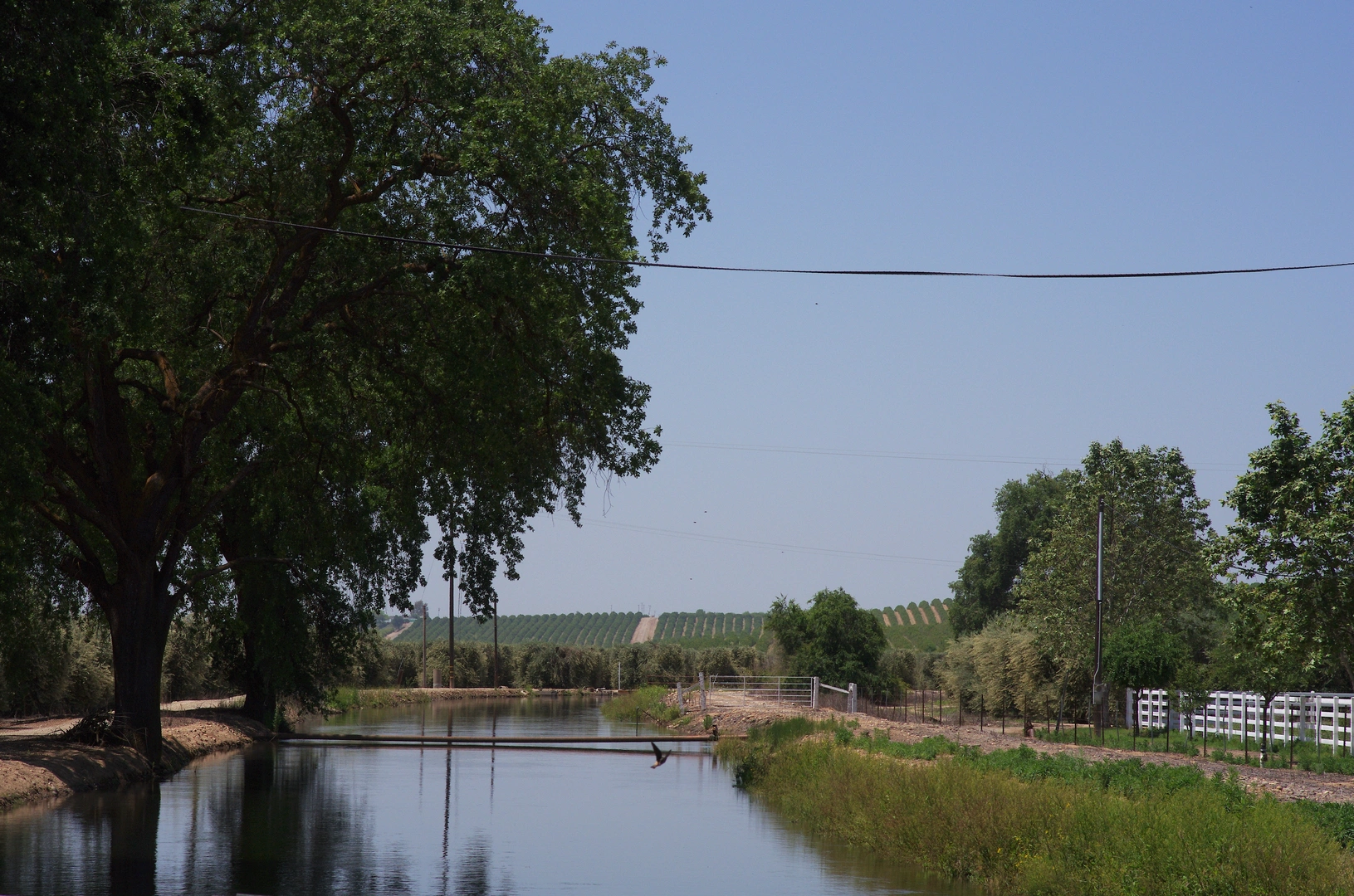 An image depicting the trail Enterprise Canal Trail and its surrounding area.