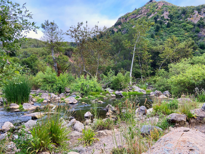 Rock Pool via High Road