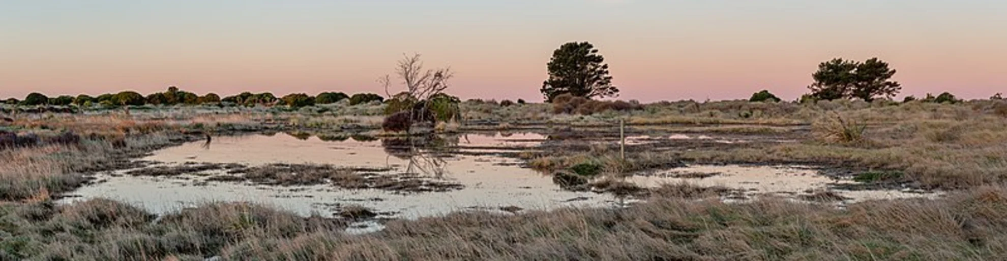 An image depicting the trail Southshore Spit Track and its surrounding area.