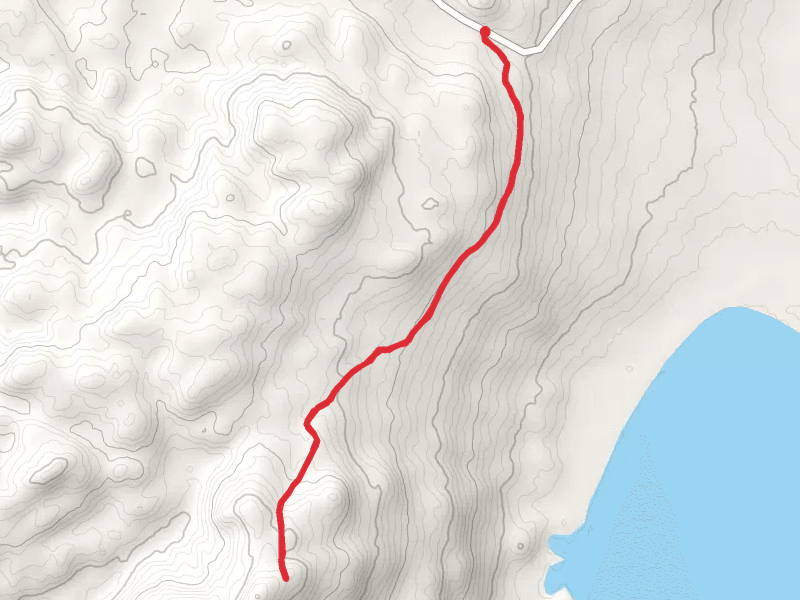 Skilak Lake Road Walk