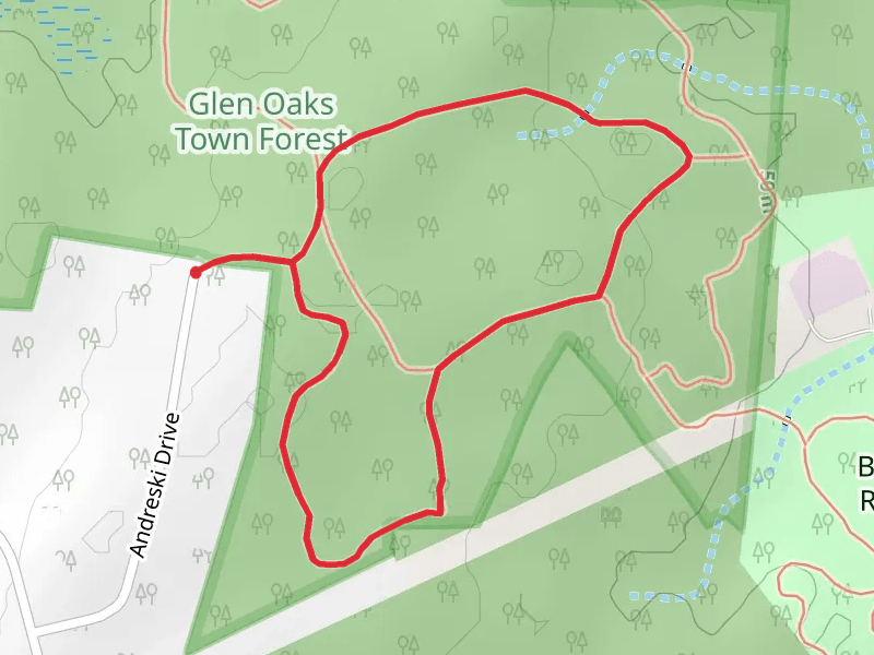 Forest Loop Trail via Andreski Drive
