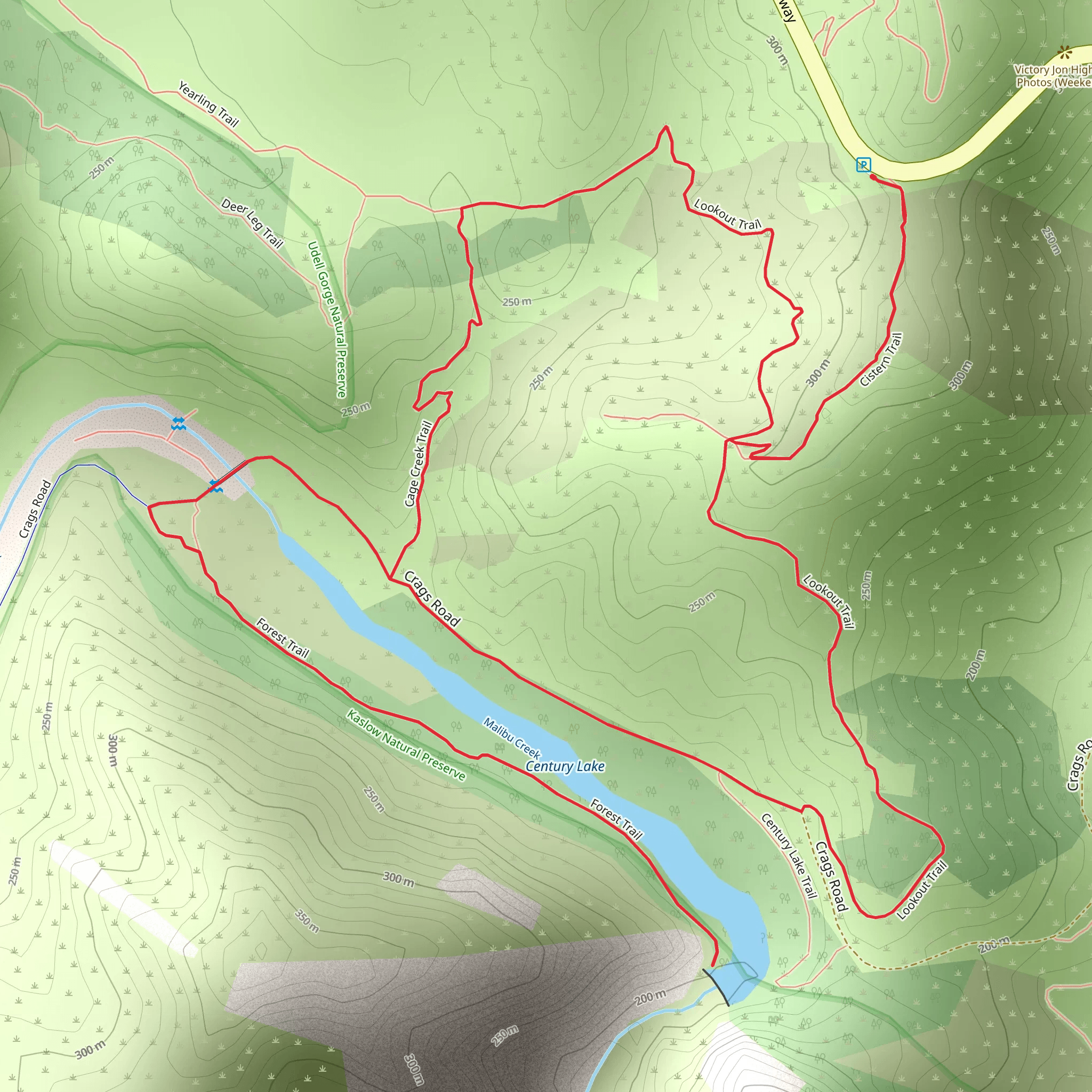 Century Lake - Forest - Cage Creek - Lookout Loop Trail mobile static map