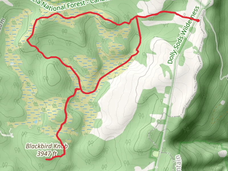Bear Rocks, Upper Red Creek and Dobbin Grade Loop Trail
