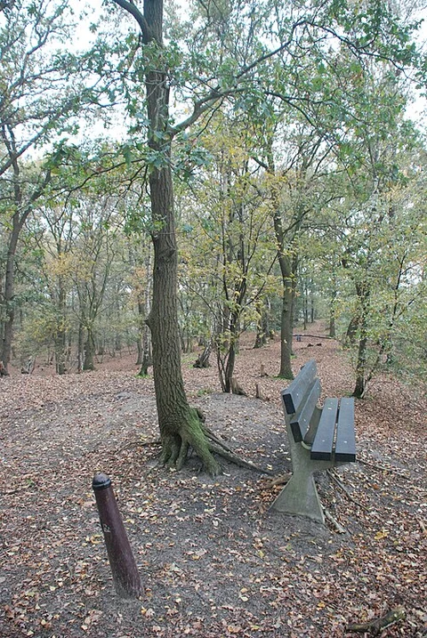 Afleidingskanaal, Zwartwater and Ballonzuilbossen Loop