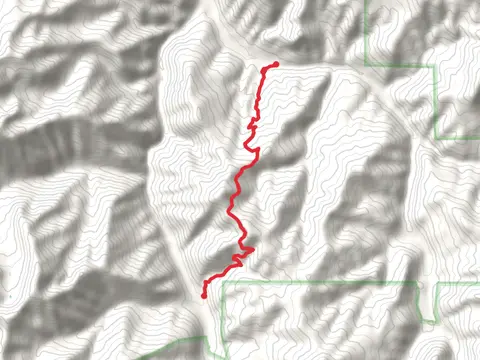 Wicked Ridge Trail