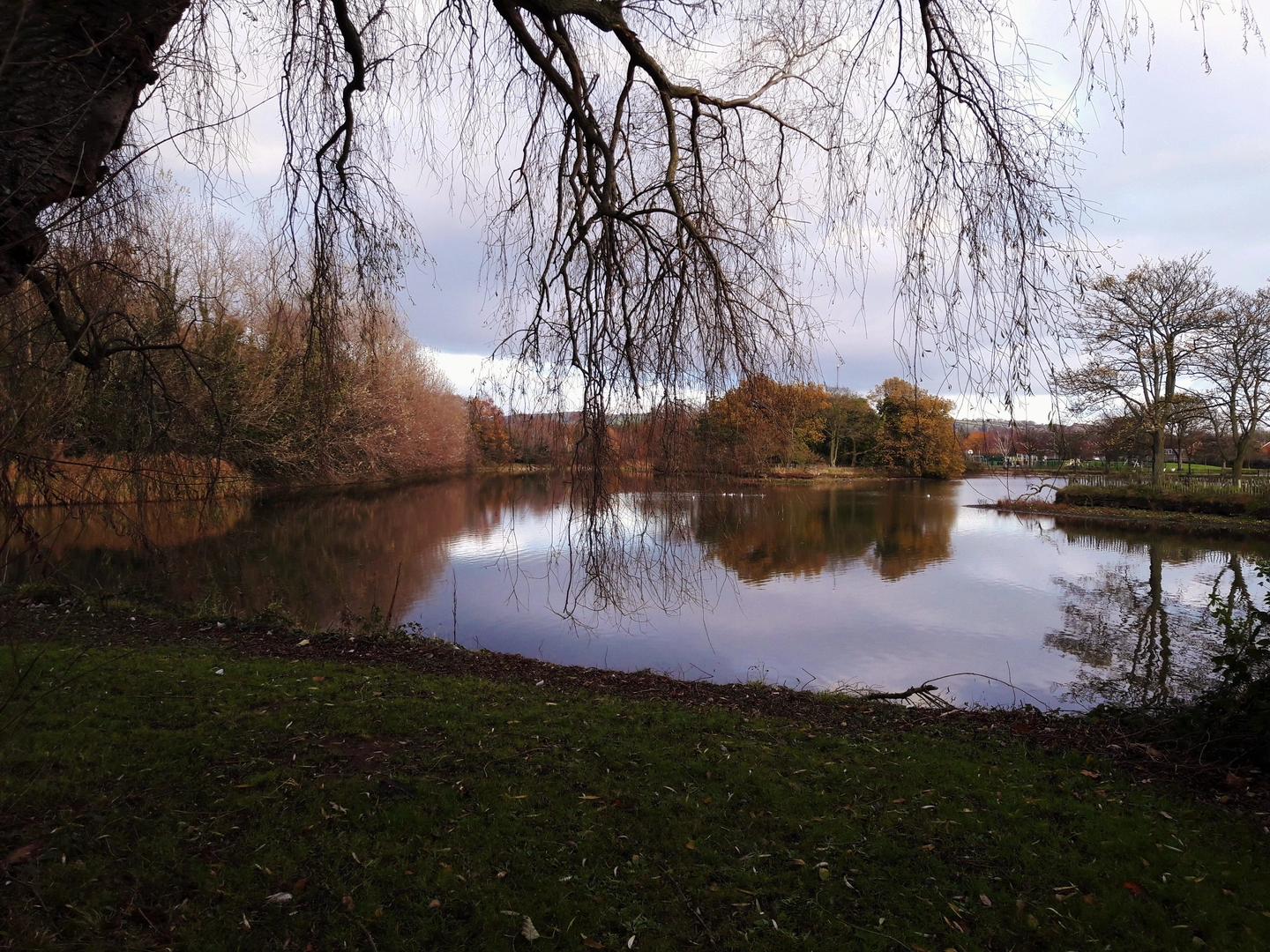 An image depicting the trail Victoria Park Walk and its surrounding area.