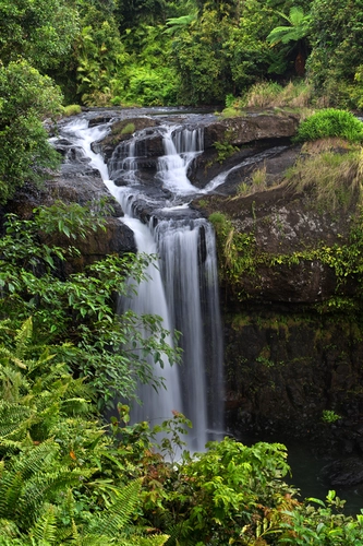 Tchupala Falls Track