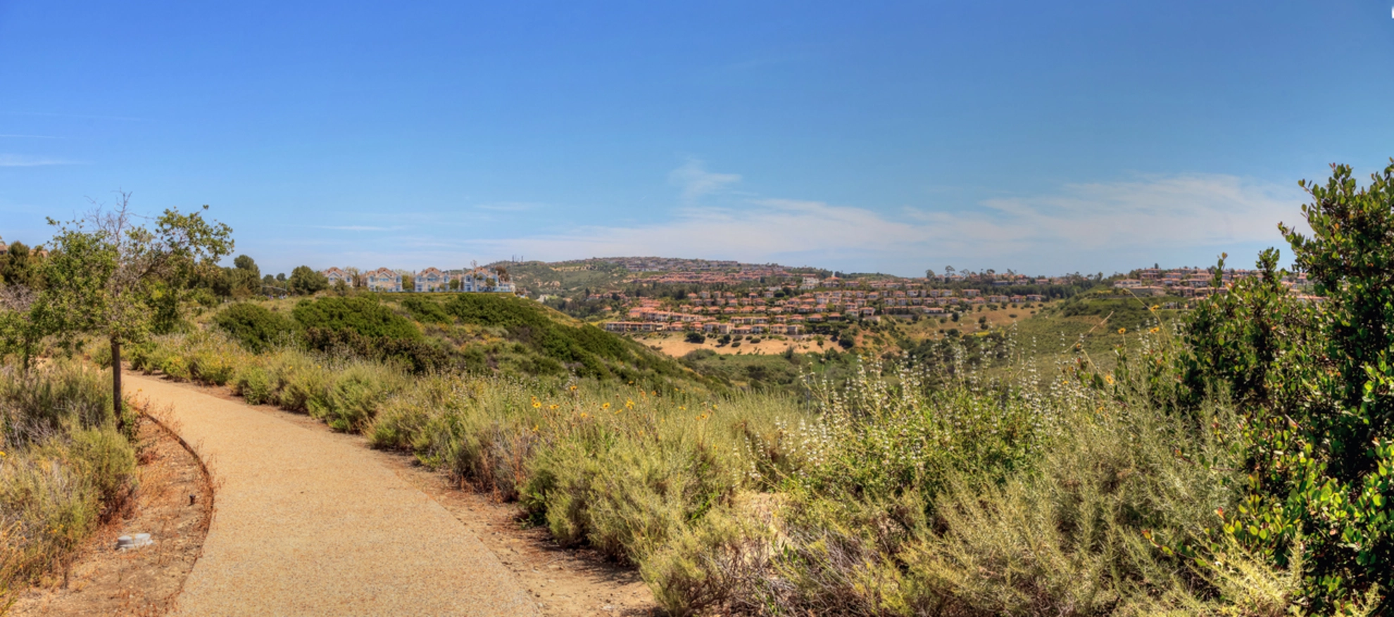 An image depicting the trail Bobcat Trail and its surrounding area.