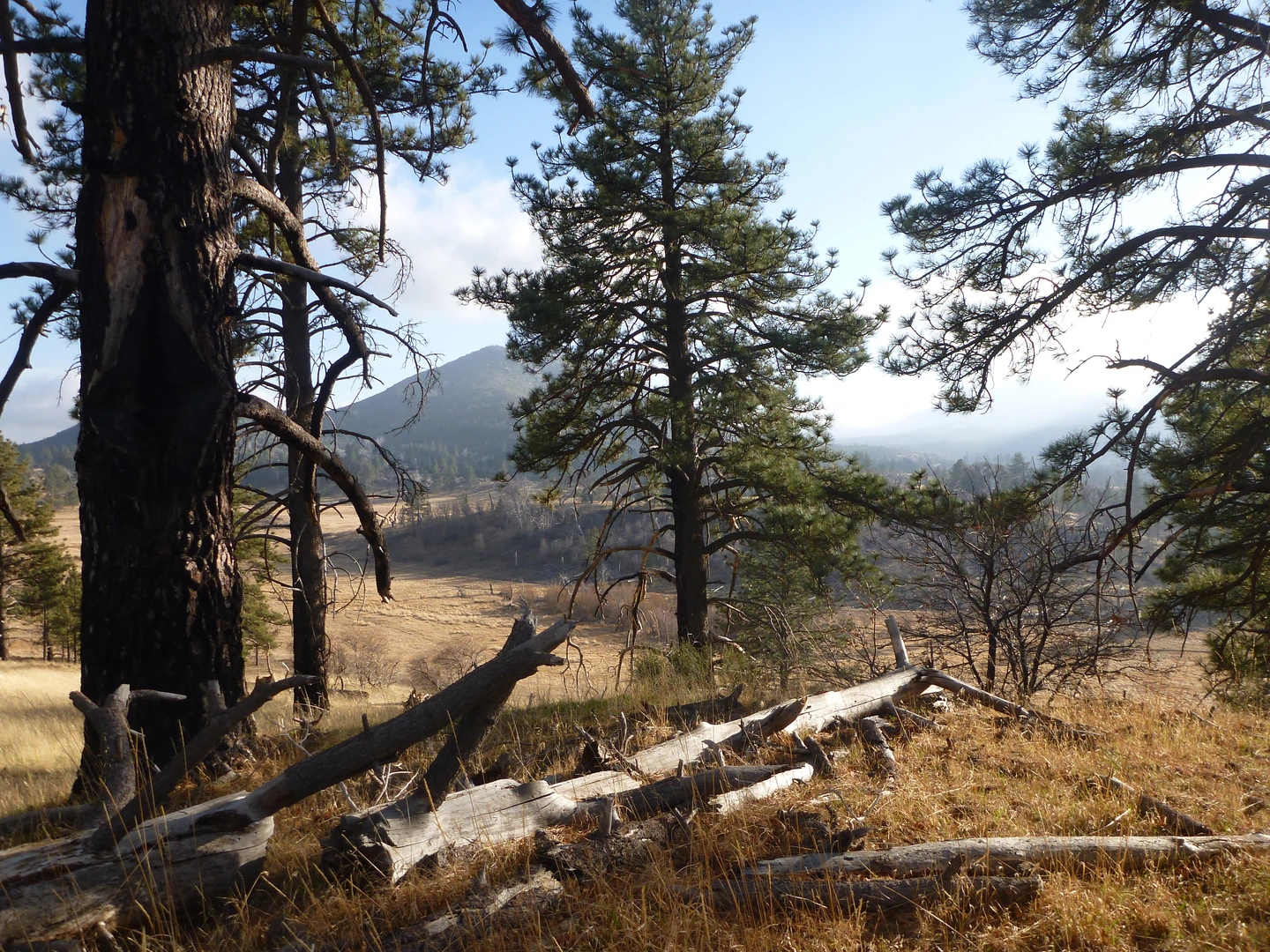 An image depicting the trail Sweetwater River via West Side Trail and its surrounding area.