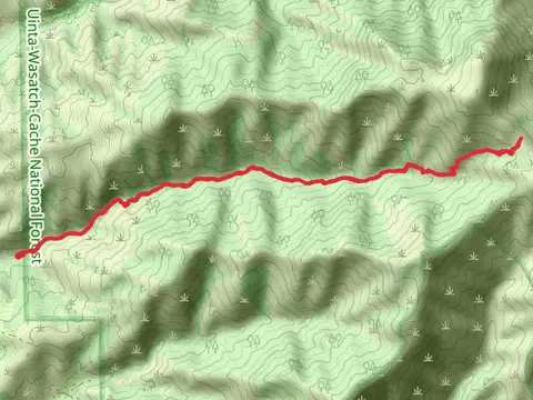 Smithfield Dry Trail
