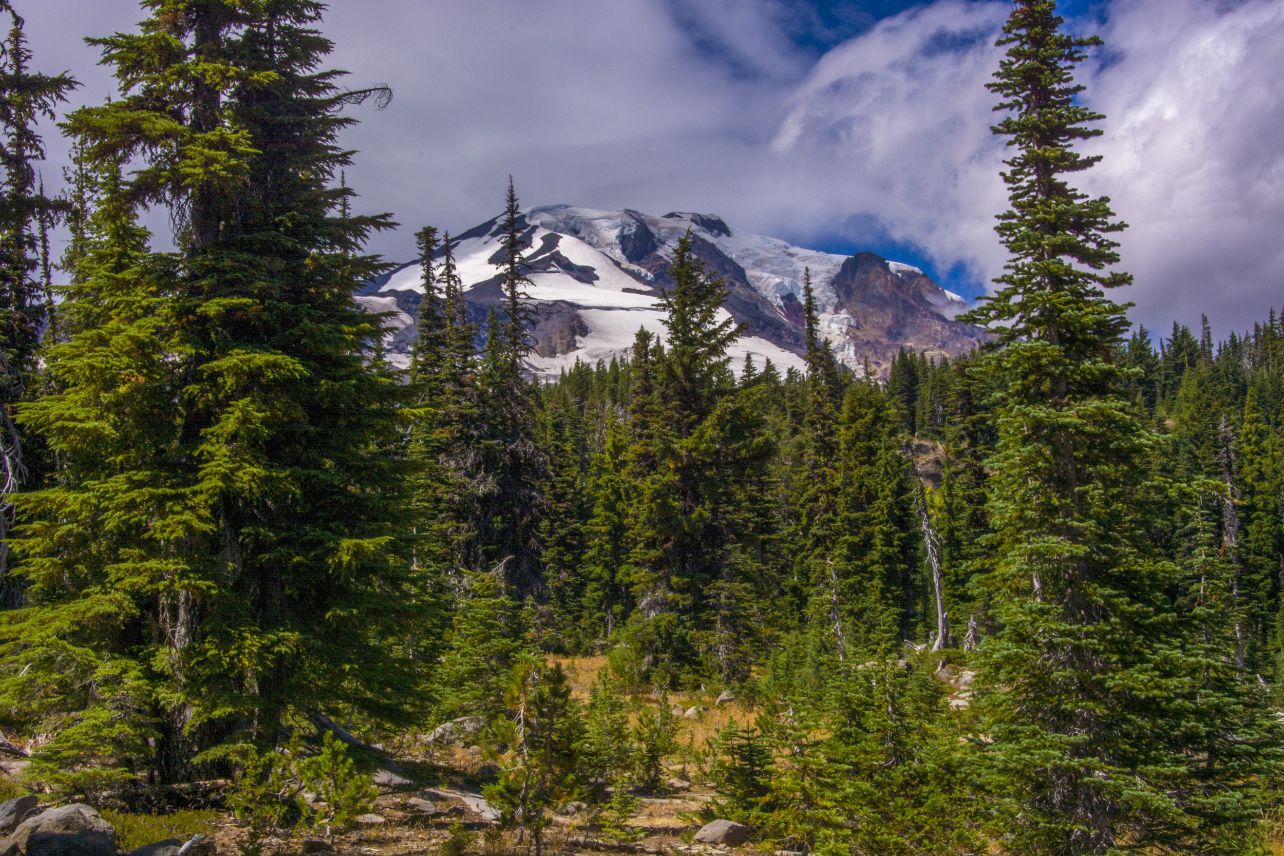 An image depicting the trail Gifford Pinchot National Forest and its surrounding area.