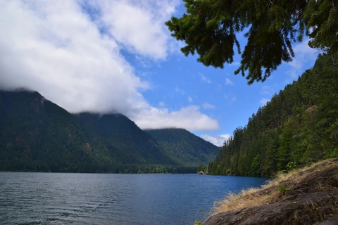 Mountain Rose Trail