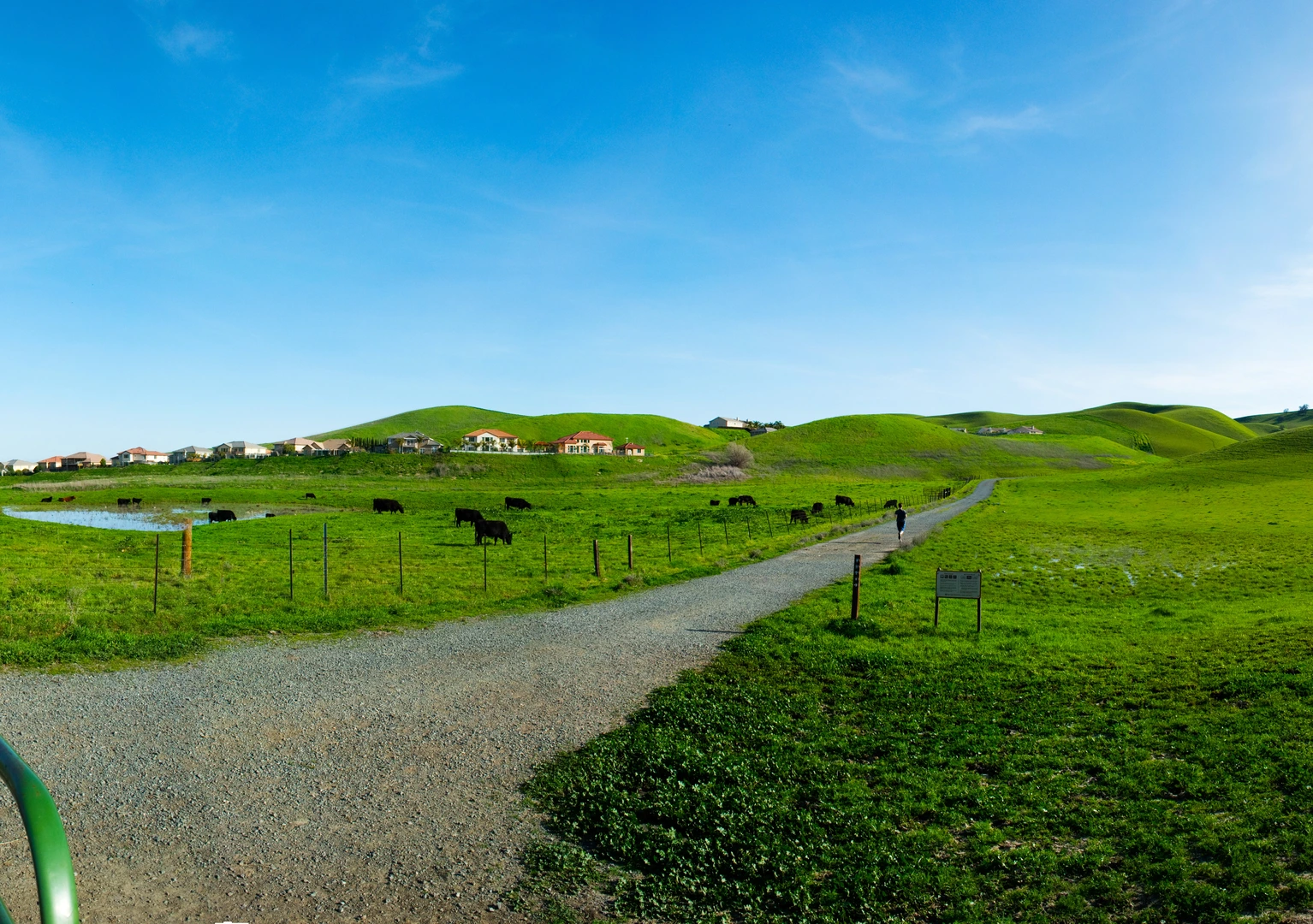 An image depicting the trail American Discovery, Contra Loma and Old Homestead Loop Trail and its surrounding area.