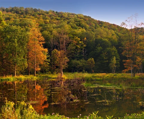Lyman Run Road Loop