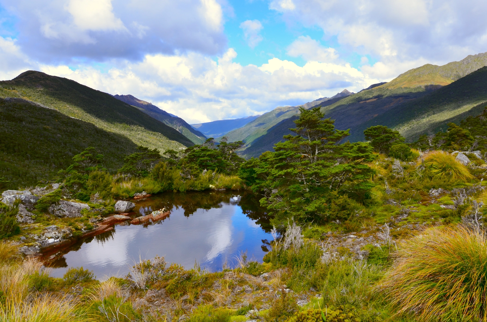 An image depicting the trail Leslie-Karamea Track and its surrounding area.