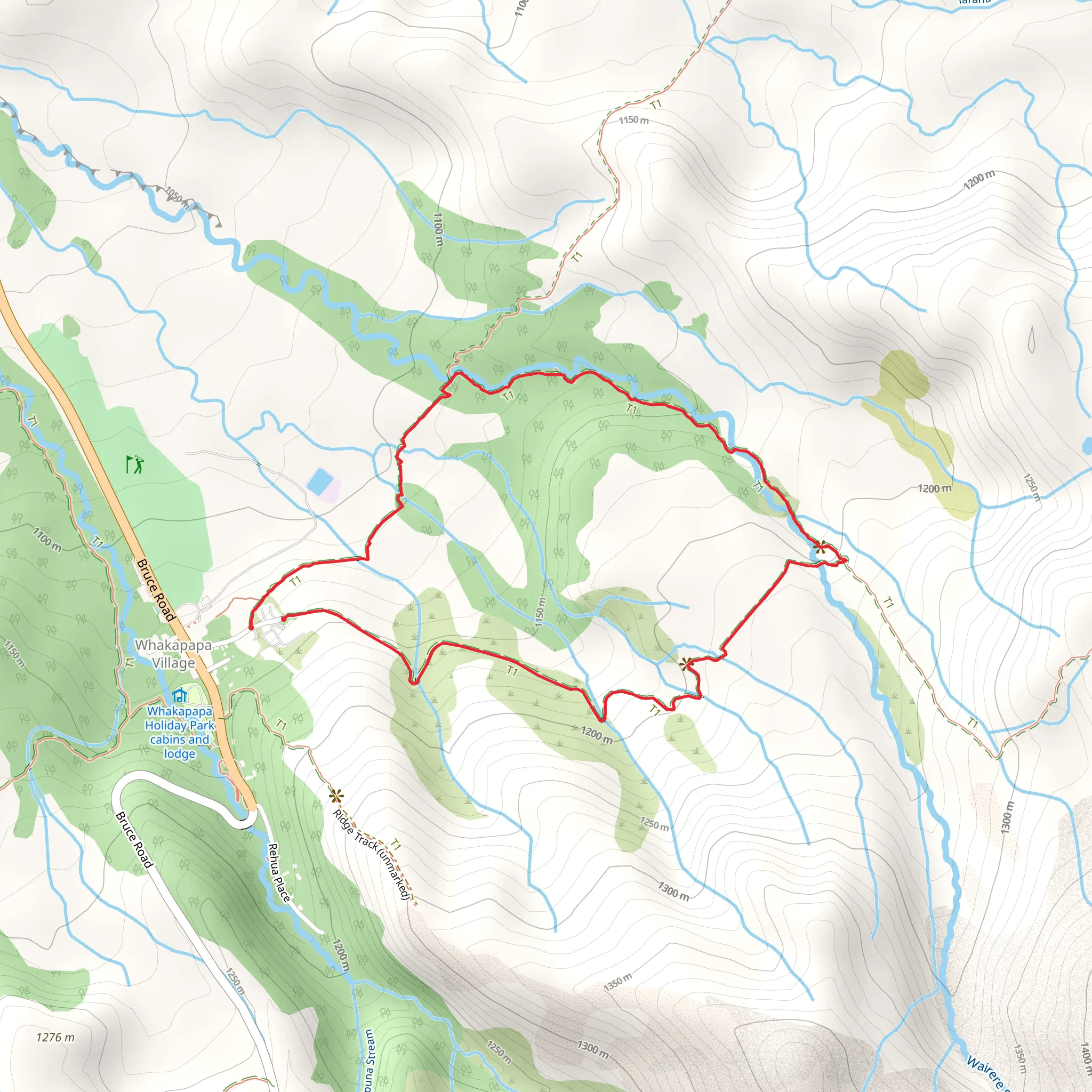 Taranaki Falls Walk mobile static map