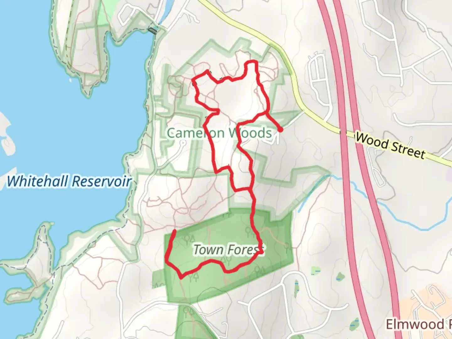 An image depicting the trail Yellow Trail Loop - Town Forest and its surrounding area.