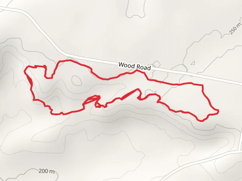 Wood Road Loop